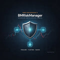BMRiskManager