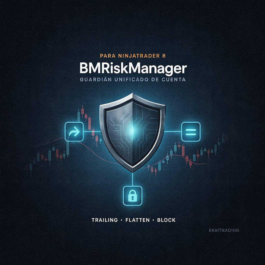 BMRiskManager
